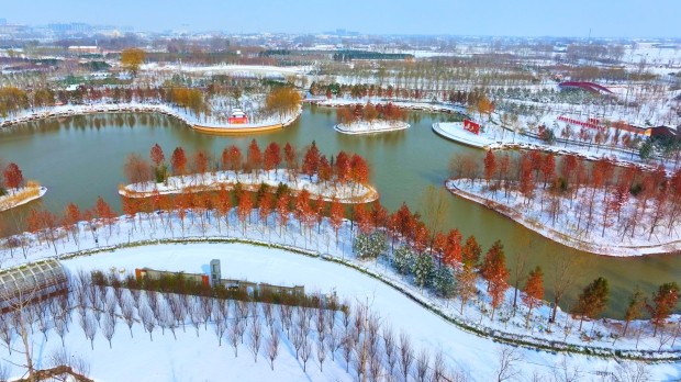 浚县雪景_1.16.1 (2).jpg