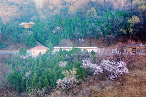 春天 (2) (2).jpg 春天 (2) (2).jpg