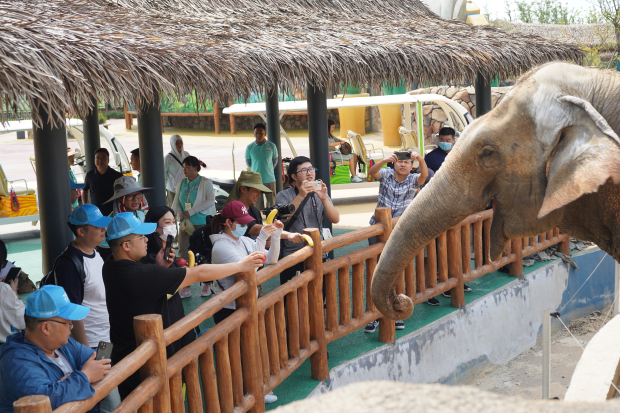 �Ŷ�ɽҰ������԰ (2) (2).jpg