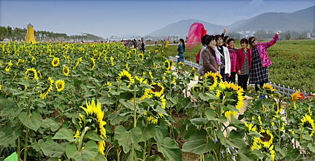 �������� (2).jpg